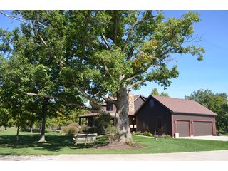 Property photo 51 - 80 +/- Acres Offered in 6 Tracts - Spectacular Farm & Home